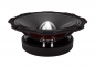 Preview: Rockford Fosgate Punch Pro PPS4-10 25cm Tief-/Mitteltöner