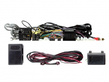 Lenkradinterface BMW 1er, 2er, 3er, 4er 2012 bis 2019 (CTSBM014.2)