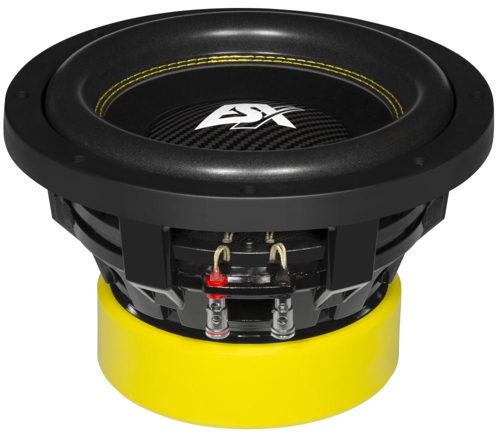 ESX Quantum QXE10D2 25cm Subwoofer