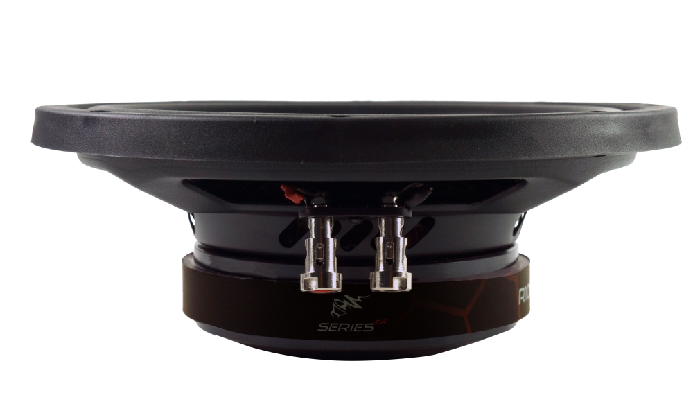 Audio System R 12 FLAT EVO 2 | 30 cm Subwoofer