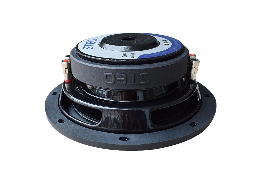 STEG SQ8-4 20cm Subwoofer