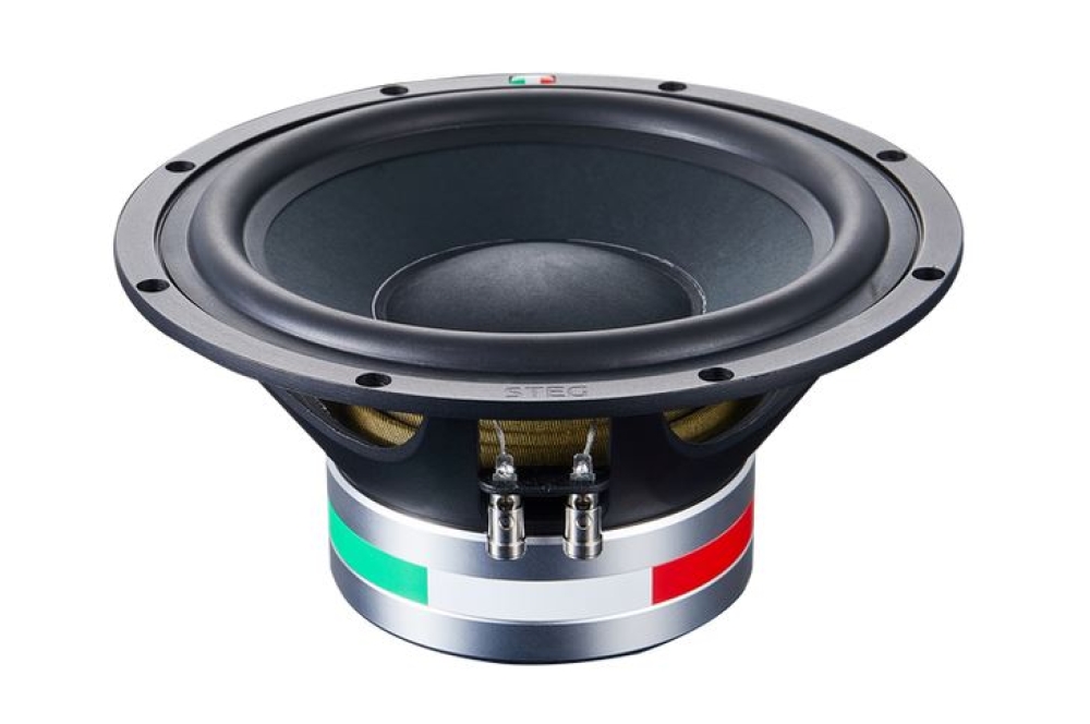 STEG SS 10 25cm Subwoofer