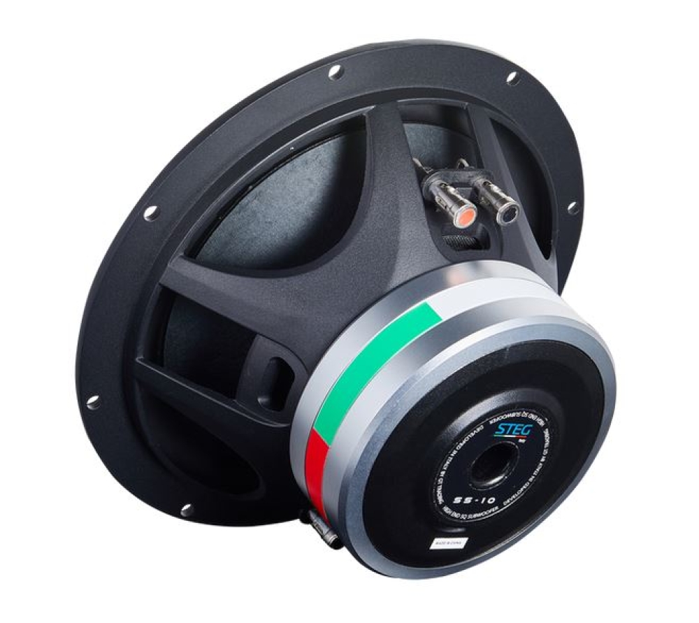 STEG SS 10 25cm Subwoofer
