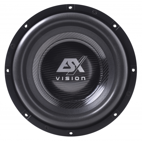 ESX Vision VX10PRO | 25 cm Subwoofer